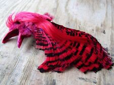 IFS Magenta Golden Pheasant  Head ,Tippet, Crest, hackle,Bumble.
