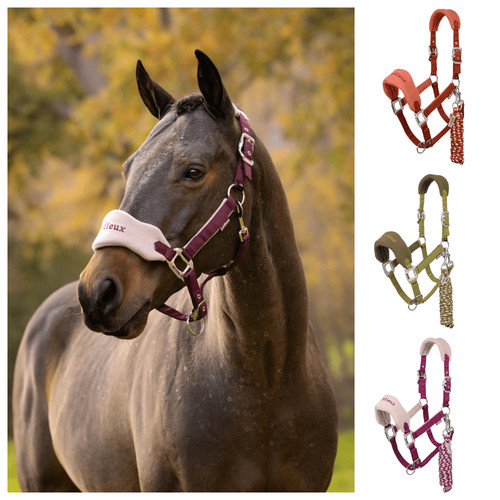 Lemieux vogue headcollar - lemieux,
