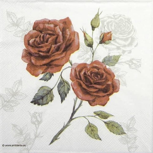 Single paper napkins for - 4x,