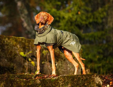 Rukka Pets Sky Dog Raincoat Green