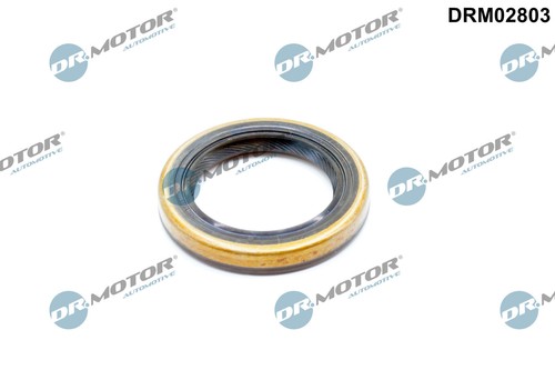 Shaft seal differential - seal,,