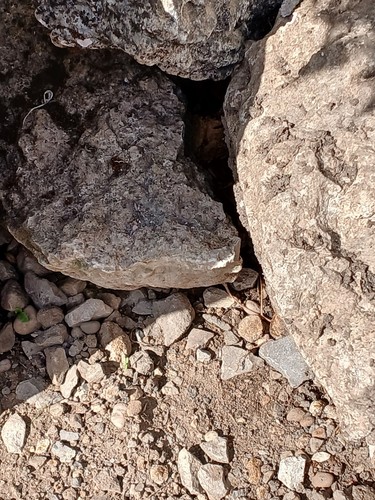 Garden rocks natural stone - garden, /natural