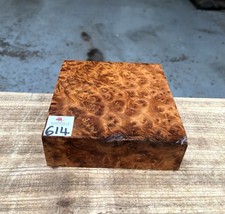 1 x Thuya Burr 6 x 6 x 2”