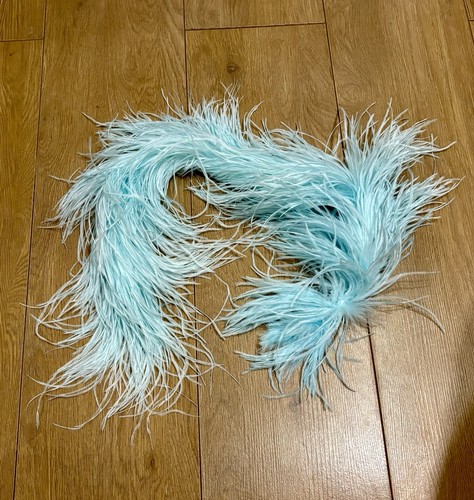 Light turquoise blue ostrich - light,