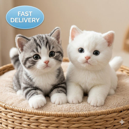 53cm realistic kitten plush - 53cm,