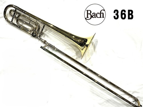 Bach 36b tenor - tenor, bass