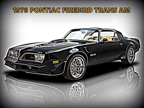 1978 pontiac firebird trans - 1978, am