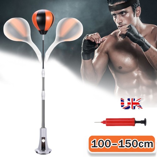 Freestanding boxing reaction - boxing,