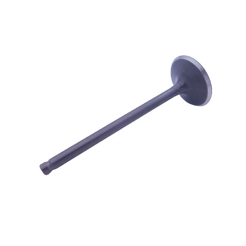 Honda intake valve 2003 - honda,