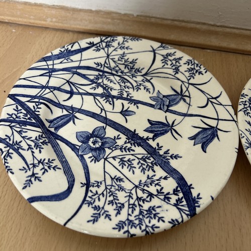 Rare english ironstone - rare,