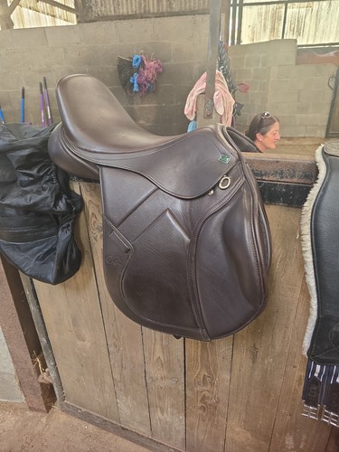 Gfs transition jump - transition, saddle