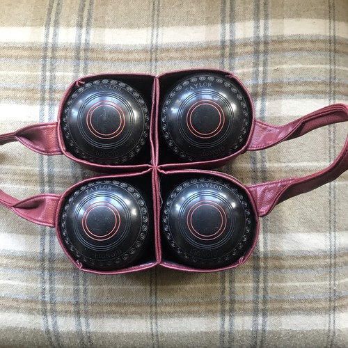 Taylor lignoid bb99 - 1m, circle