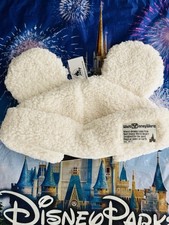 2025 Walt Disney World Mickey