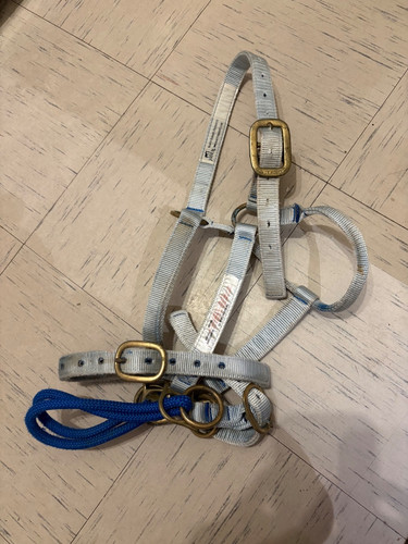 Monty roberts large dually - monty,