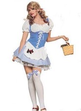 Dorothy Girl Fancy Dress Costume