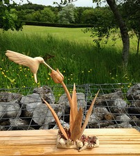 ChiselCraft Hand Carved Wooden Hummingbird in Flower Bud & Reeds Humming Bird B