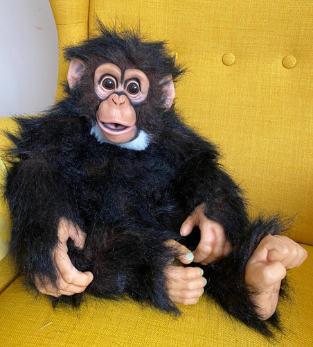Axtell amazing apes - axtell,