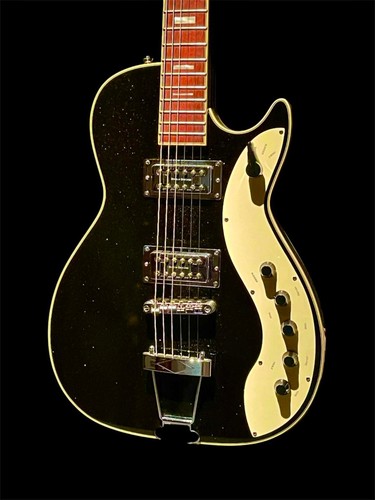 Silvertone 1423 reissue - silvertone,