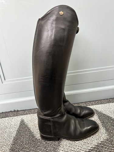 Konig koenig favorit dressage - konig,