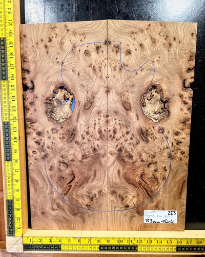Elm burl guitar top - burl,