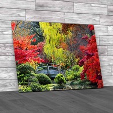 Japan Garden Forest Stunning