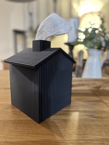 Modern tissue holder house - tissue,