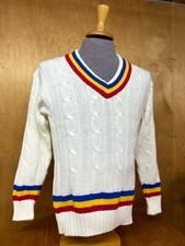 Men's Cricket Jumper V Neck
