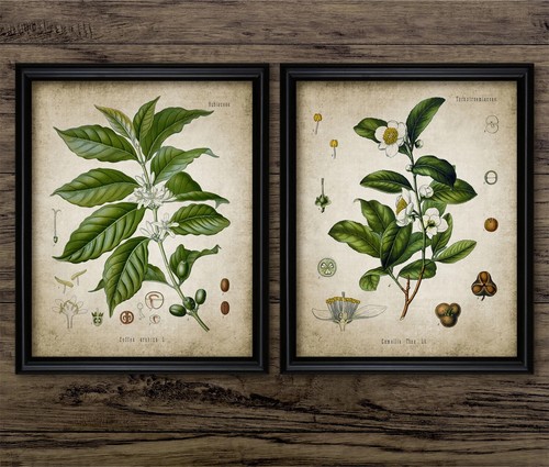 Coffee and tea - and, print
