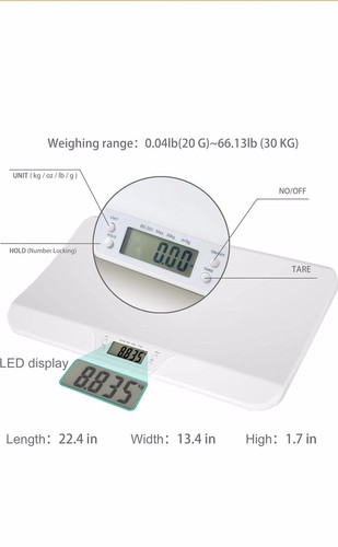 Small medium sized - small,