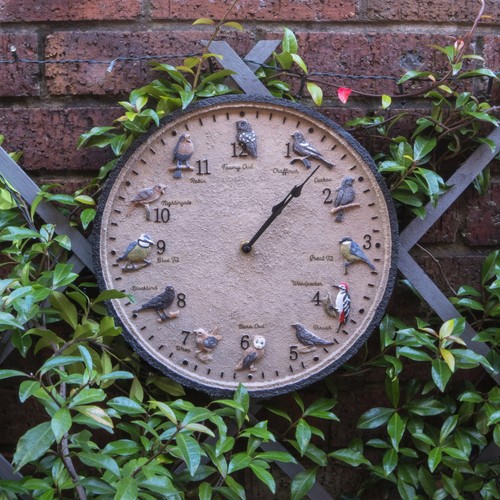 Wall clock garden - clock,