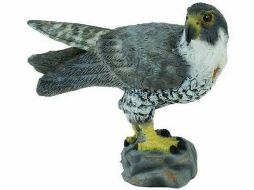 Peregrine falcon toy model - falcon,