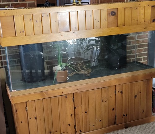 125 gallon used fish tank - fish,