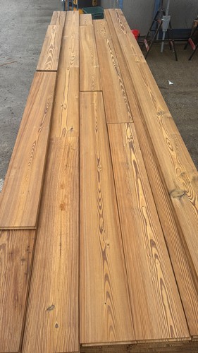 American pitch pine - pitch,