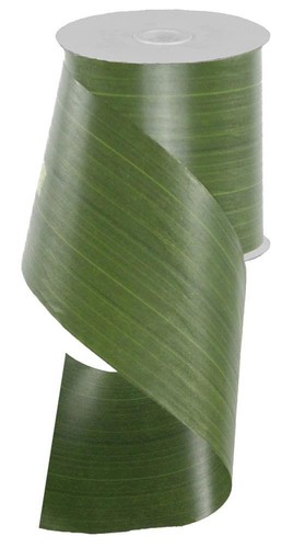 Variegated moss green leaf - variegated,