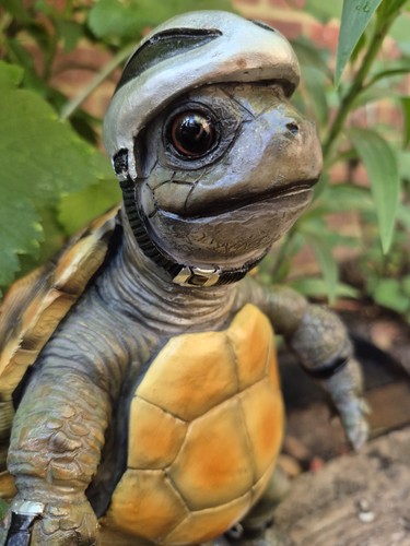 Tortoise gift garden ornament - gift,