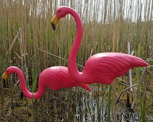 Elegant set pink flamingo - set,