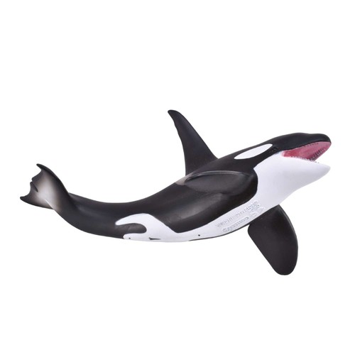 Collecta orca - collecta,