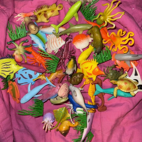 Lot ocean animals kelp - 53,