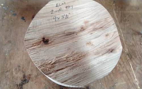 Spalted elm bowl blank wood - elm,