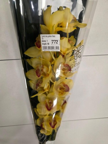 Farm fresh orchid - farm,
