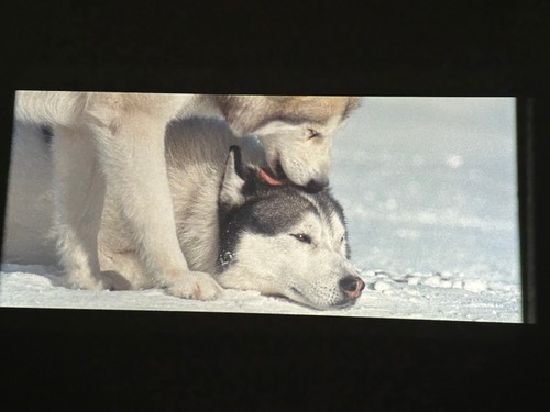 Disney eight below - below, (2006)