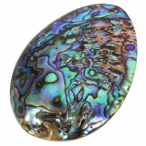 Seashell abalone shell pendant - shell,