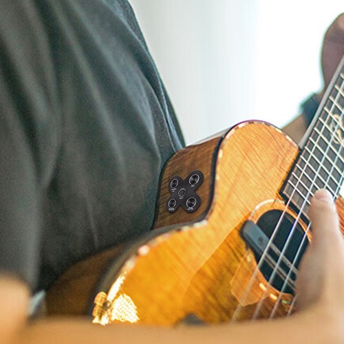 Guitar pickup classical - pickup,