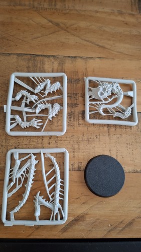 Tyranid lictor games workshop - lictor,
