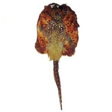 Bisley Pheasant Skin Pelt