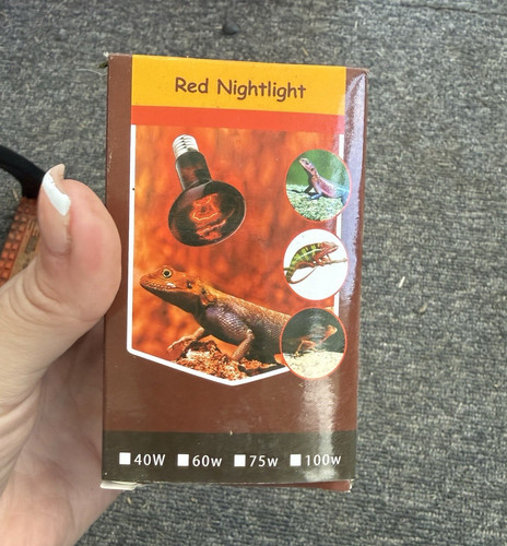 Reptile red nightlight - red,