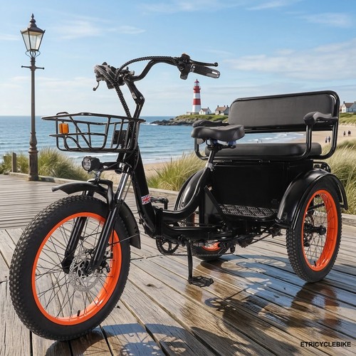 Adult electric trike - trike, 20''