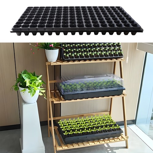 Pack plastic seedling - 10,