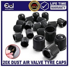 20x DUST AIR VALVE TYRE CAPS