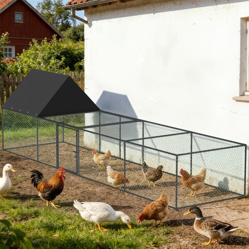 Practical chicken run - practical, coop